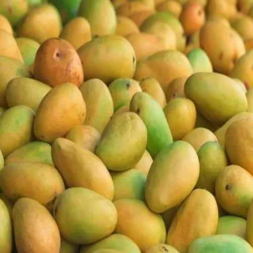 Banginapalli