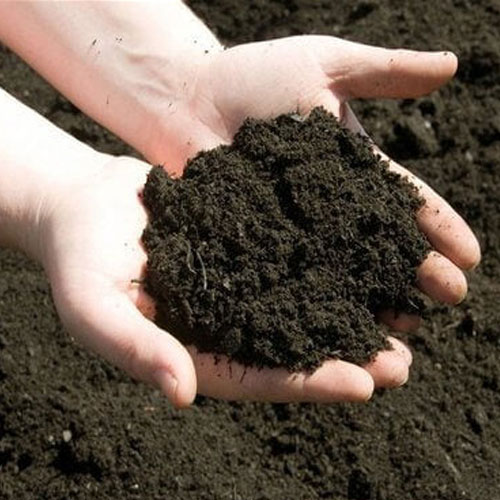 Vermicompost